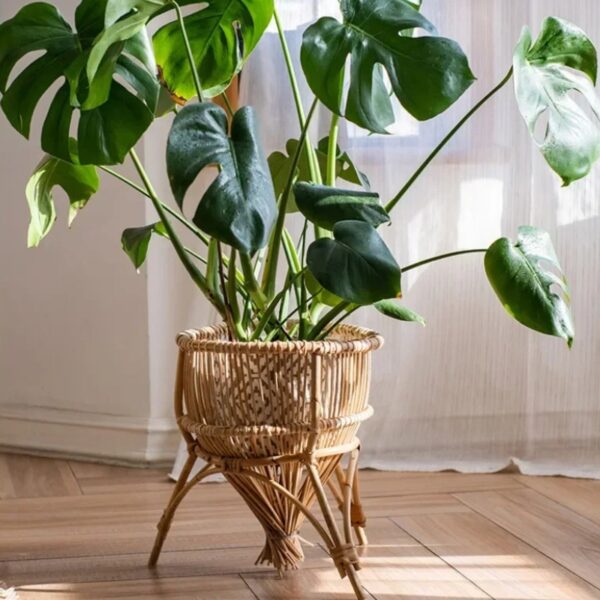 Porte plante rotin artisanal avec support en bois