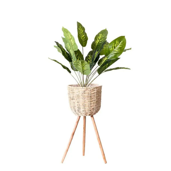 Porte plante rotin sophistiqué et pratique sur fond blanc avec une plante à l'intérieur